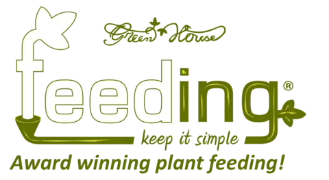 Marca 13 de Tienda Florencia