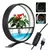 Luminária De Mesa Com Suporte P/ Plantas LED USB - Serenostore na internet