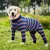 Roupas para cães, pijamas para cães médios e grandes, macios e aconchegantes, - comprar online