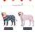 Roupas para cães, pijamas para cães médios e grandes, macios e aconchegantes, - Seuconfortotche