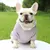 Moda roupas para cães outono e inverno roupas pequenas para animais de estimaç - Seuconfortotche
