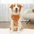 Cães grandes roupas de inverno quente camisola S-6XL tamanho roupas para animai - Seuconfortotche