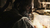 Resident Evil 4 REMAKE na internet