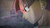 DRAGON BALL XENOVERSE 2 Special Edition - loja online