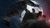 Batman™: Arkham Origins na internet