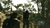 METAL GEAR SOLID V: THE PHANTOM PAIN na internet