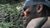 Imagem do METAL GEAR SOLID V: THE PHANTOM PAIN