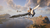 Hogwarts Legacy - comprar online