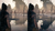 Hellblade: Senua’s Sacrifice na internet