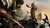 Assassin's Creed Freedom Cry - comprar online