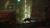 Stray na internet