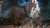 Clair Obscur: Expedition 33 - comprar online