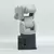 Elephant Robotics mechArm 270 M5Stack 6-Axis Robot Arm Desktop Robotic Arm for Makers, Designers & Anyone Who Loves to Create - Nobugzone