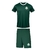Uniforme Palmeiras Infantil Conjunto Oficial Jr Licenciado - comprar online
