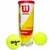 Bola de Tênis Wilson Championship Extra Duty Tubo 3 bolas - comprar online