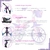 Imagem do Bicicleta Infantil Aro 12 Nathor Cat Violeta Menina 2-5 Anos