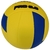 Bola de Vôlei de Quadra Kagiva pro 6.0 na internet