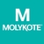 Limpia Inyectores Diesel + Molykote A4 Antifriccion 300cm - LS Palermo
