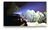 Barra Faro Led 50 Cm 54w 4900lm 30000hs 12/24v Off Road