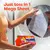Lenços amaciantes para secadora Bounce Mega, aroma de flor de paraíso, 50 unidades - Usbrbox