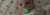 Banner de Usbrbox