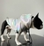 Campera Sirena en internet