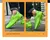 Sapatos masculinos tênis homem sapatos casuais tenis sapatos de luxo treinador