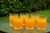 X6 Vaso Labrado Margarita Retro Vidrio Grueso 300ml - SOLBAHOME