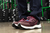 Tenis De Seguridad Mujer Comando Sport+ Modelo 1913 - tienda en línea