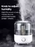 KINSCOTER 3L Humidificador de ar profissional de grande.
