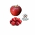 Manzana premium