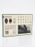 RELOGIO SMART WS80 ULTRA 2 7 PULSEIRAS - comprar online