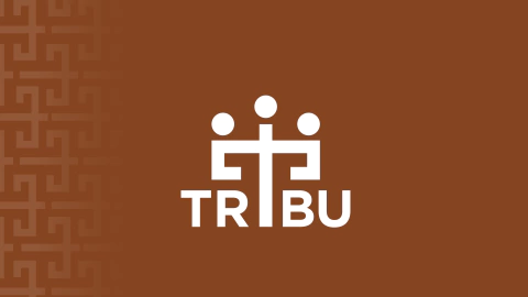 Tribu