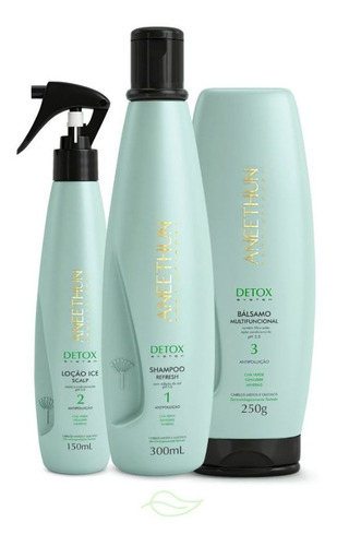 Kit Antipoluição Detox System Aneethun 3 Produtos