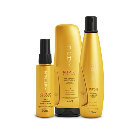 Kit Aneethun Repair 3 Produtos Shampo, Finalizador e Oleo