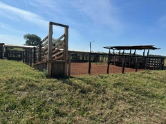 FAZENDA 54 ALQUEIRES (4,84) EM CAMPINA VERDE - MG - Ricardo Severino Corretor
