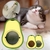 Aguacatnip en internet