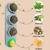 Juego bolas cat mint surtidas para gato - pawerfull