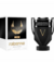 Invictus Victory Absolu Paco Rabanne na internet