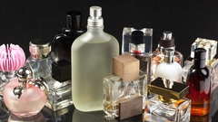 Banner de la categoría GUCCI