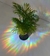STICKER SUNCATCHER - tienda online