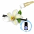 Essência Vanila France 100ml - loja online