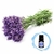 Essência N Nartt Lavanda 100ml - loja online