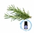 Essência New Alecrim (100ml) - loja online