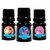 Essência Hidrossoluvel Kit Doni 10ml (3un) - Casa das Essências SS