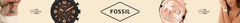 Banner da categoria FOSSIL