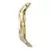 Relógio Technos Dourado slim gl22aa1x - comprar online