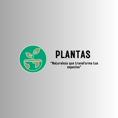 Banner de la categoría PLANTAS