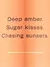 VICTORIA'S SECRET - Body Splash Amber Romance - comprar online