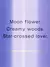 VICTORIA'S SECRET - Body Splash Midnight Bloom - comprar online